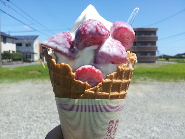 市場日記