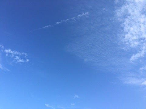 {9267B72B-E33A-4DB1-B733-FE0CA839CA96}